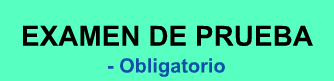 EXAMEN DE PRUEBA